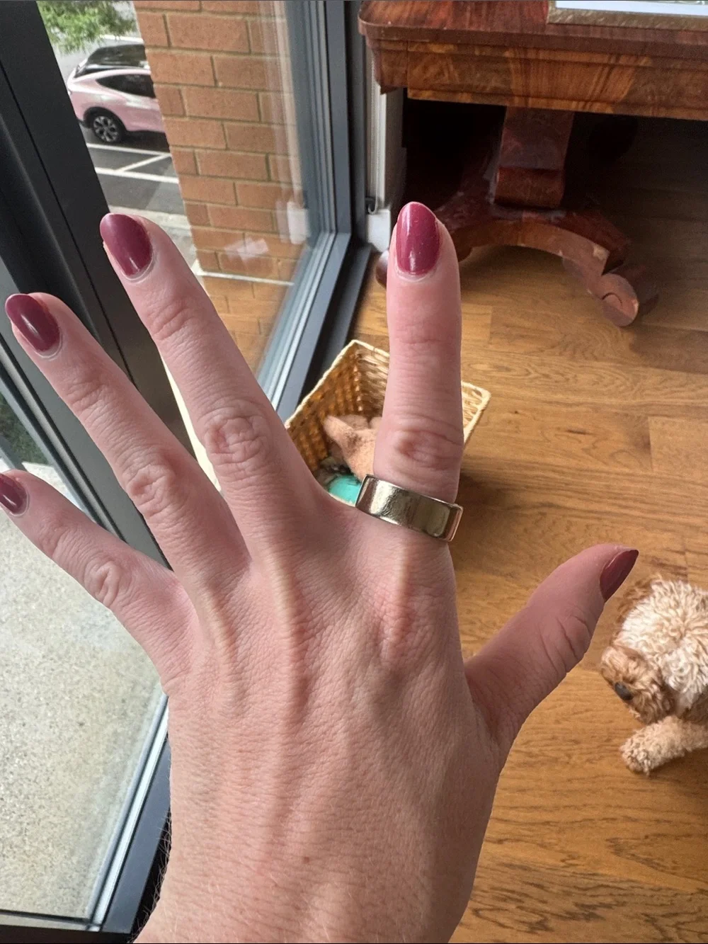 Oura Smart Ring in Gold Size 7